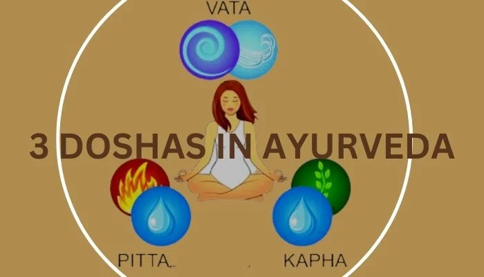 3 Doshas in Ayurveda