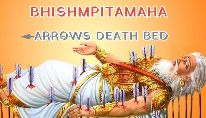 Death of Bhishma Pitamaha 
