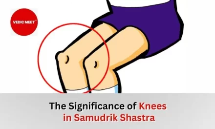 The Significance of Knees in Samudrik Shastra