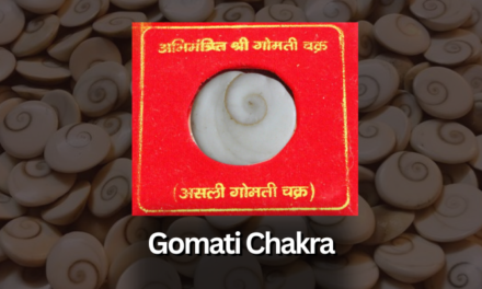 Gomati Chakra and its 14 benefits.