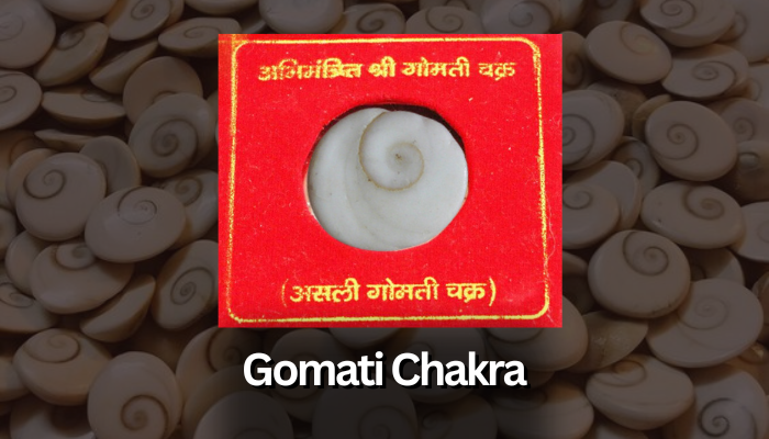 Gomati Chakra and its 14 benefits.