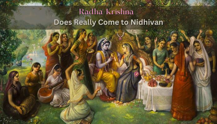 Mysteries of Nidhivan 