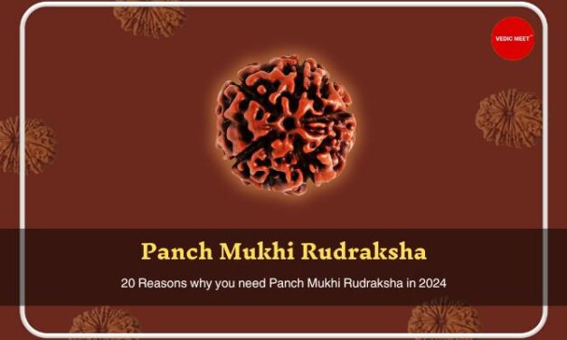20 Reasons why you need Panch Mukhi Rudraksh in 2024