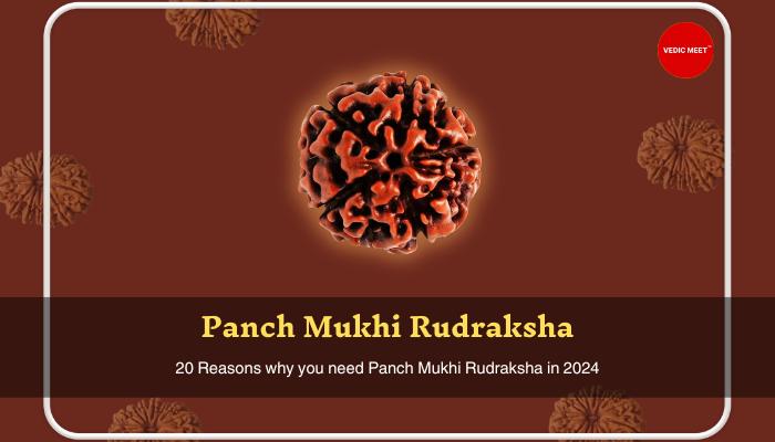 Panch Mukhi Rudraksha