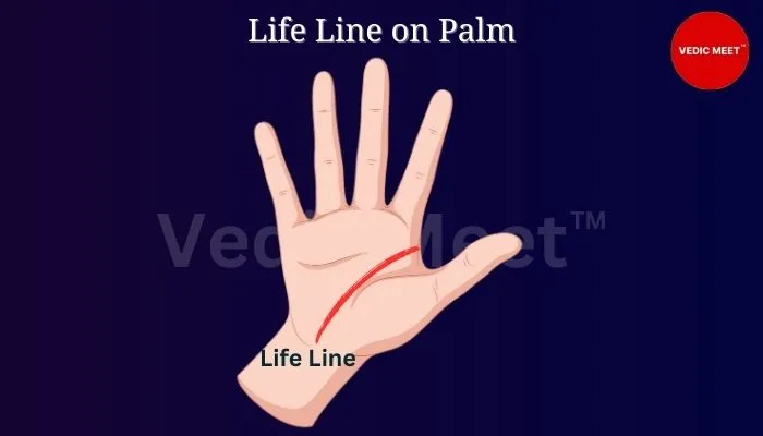 Life Line on Palm