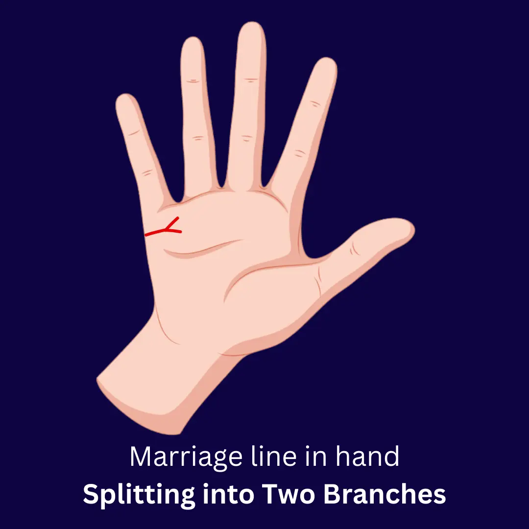 Marriage line in Female hand Splitting into Two Branches