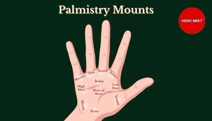 Palmistry Mounts