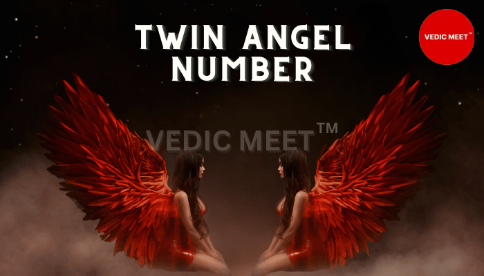 Twin Angel Number