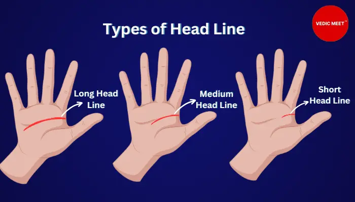 Types of Head Line