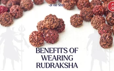 Benefits of Wearing Rudraksha: Enhancing Spiritual Well-being