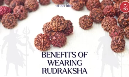 Benefits of Wearing Rudraksha: Enhancing Spiritual Well-being