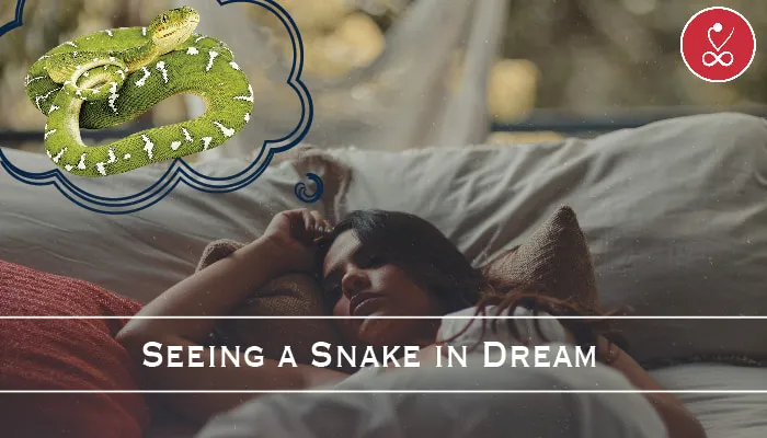 snake in dream meaning in hindu astrology