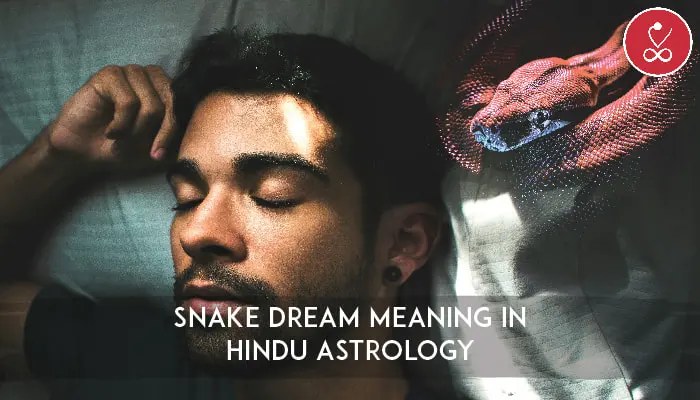 Snake in Dream Meaning According to Hindu Astrology